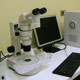 Minilaboratorio de Microscopía Zoológica