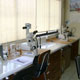 Soil Biology Laboratory