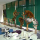 Animal Biology Laboratory